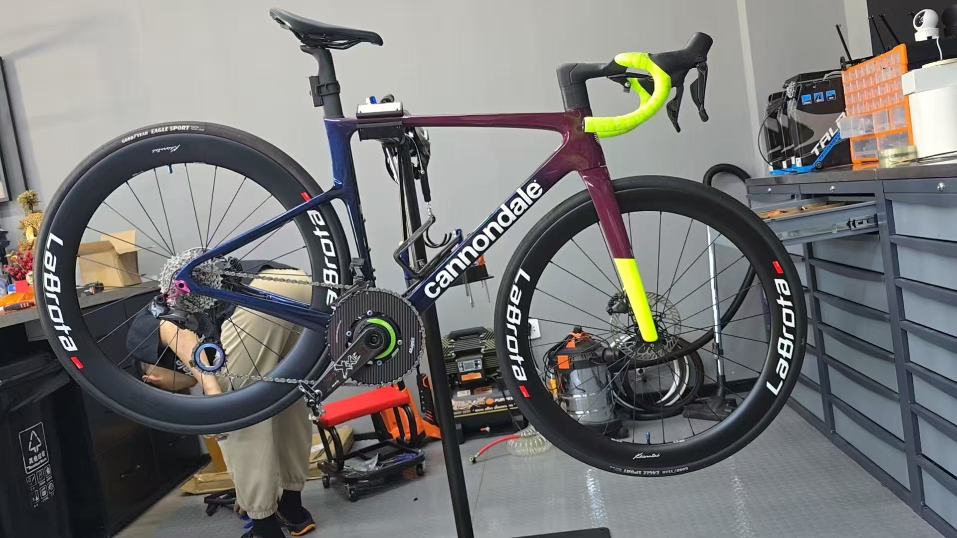 LaBrota owner moment 29